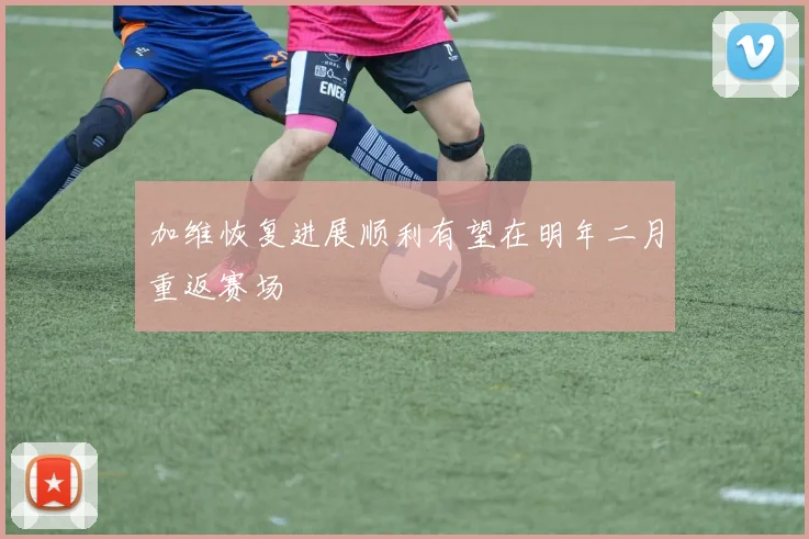 加维恢复进展顺利有望在明年二月重返赛场