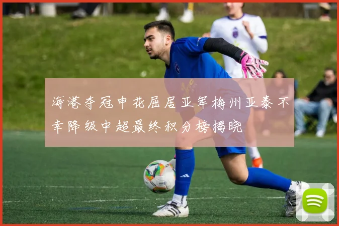 海港夺冠申花屈居亚军梅州亚泰不幸降级中超最终积分榜揭晓