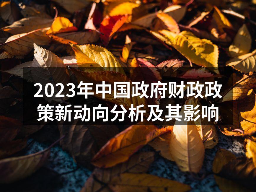 2023年中国政府财政政策新动向分析及其