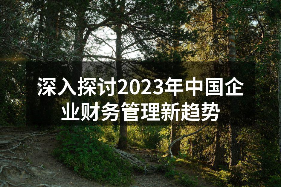 深入探讨2023年中国企业财务管理新趋势