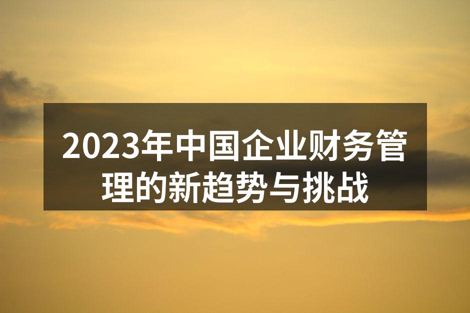 2023年中国企业财务管理的新趋势与挑战